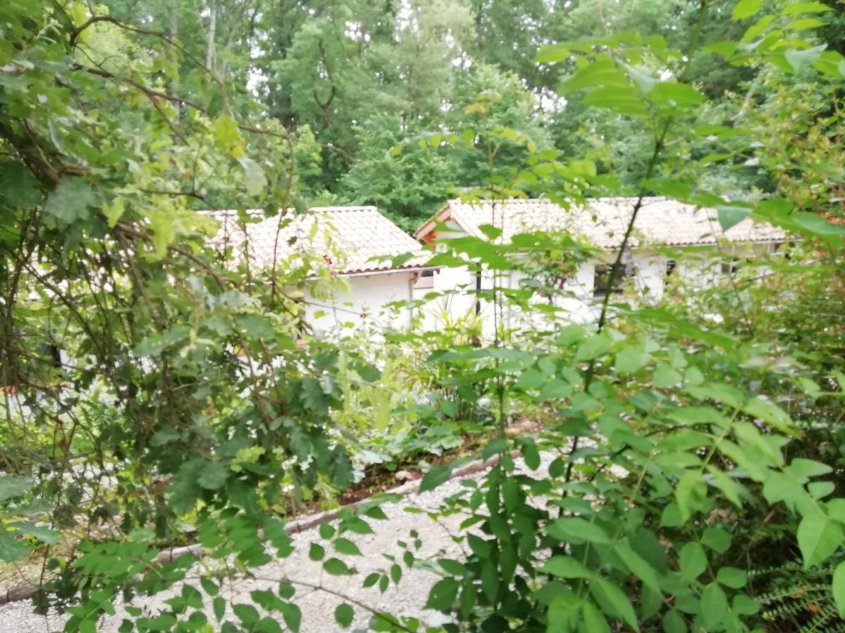 Pause Nature. Maison Ananda A 14 Kms De Toulouse Avec Parking Privatif Lapeyrouse-Fossat エクステリア 写真